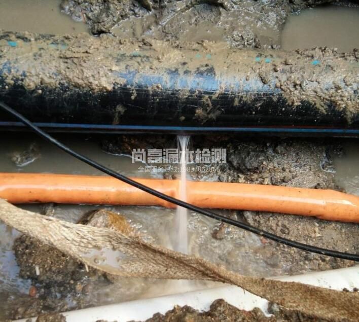 沧州消防管道漏水检测